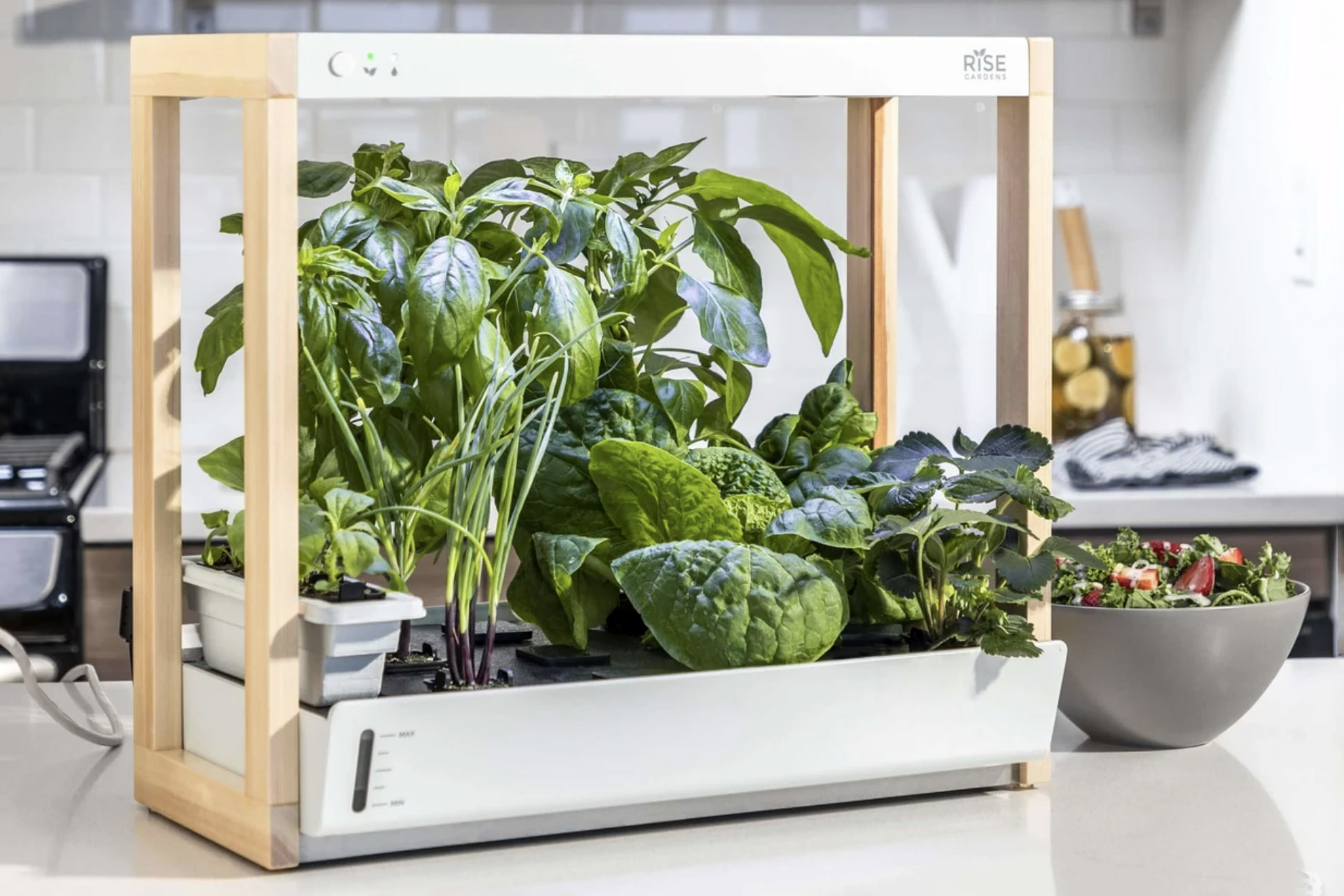 rise garden makes growing veggies easy gardens personal